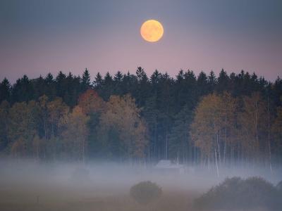 Týdenní plán 25.11.-29.11.