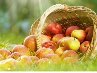 Týdenní plán 15.9. - 19.9.